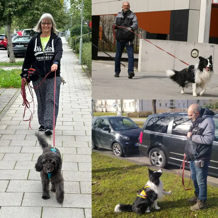 Petra, Harry, Sunny und Ray