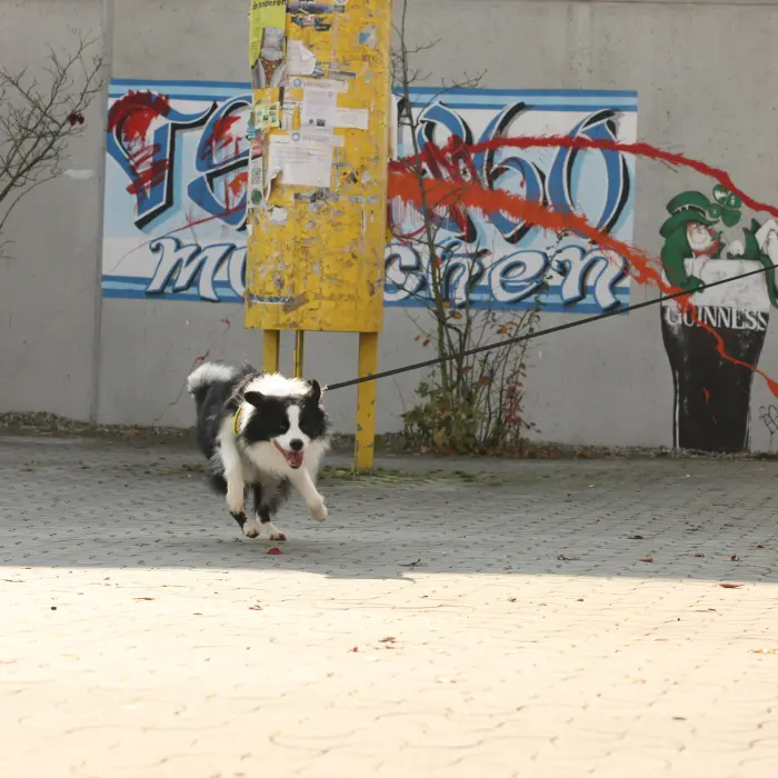 Margot und Unix
